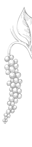 footer-shape